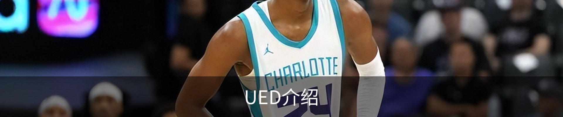 UED介绍